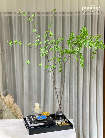 thạch nam thạch nam